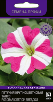 petunia_krupnocvet_tango_rozovaya_s_beloi_zvezdoi