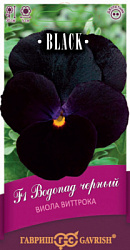 Виола черн