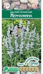 Шалфей Жемчужина