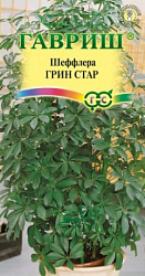 Шеффлера