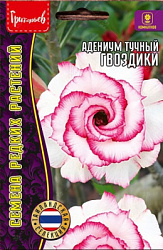 Адениум гвоздики