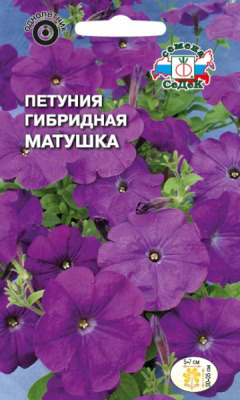 petuniya_matushka