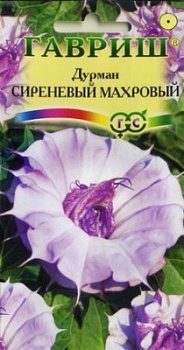 Дурман