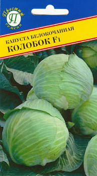 Капуста колобок