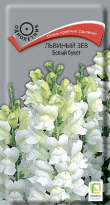 lviny_zev_bely_buket