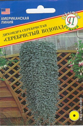 Dichondra_Silver_Falls