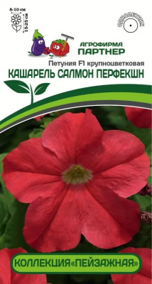 Петуния кашарель салмон перфекшн