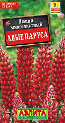 Люпин Алые паруса многолетний_ЦП