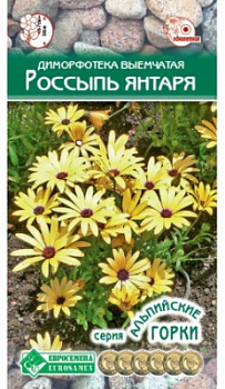 Россыпь янтаря