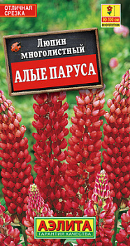 Люпин Алые паруса многолетний_ЦП