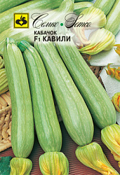 kabachok_cukkini_kavili