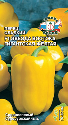 perets_zvezda_vostoka_gigantskaya_zheltaya_f1_sladkiy