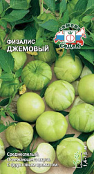 fizalis_dzhemovyy