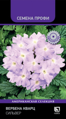 verbena_kvarc_silver