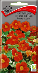 nastrucia_nizkorosl_alyaska_scarlet