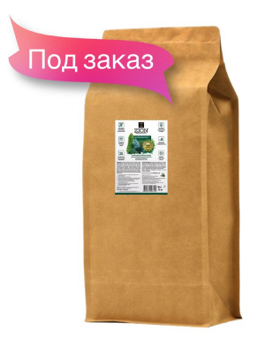 Хвойные 10