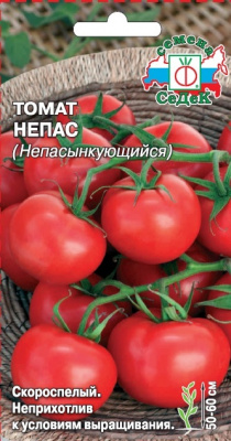 tomat_nepas_nepasynkuyushchiysya
