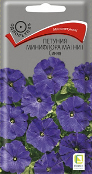 petunia_miniflora_magnit_sinyaya