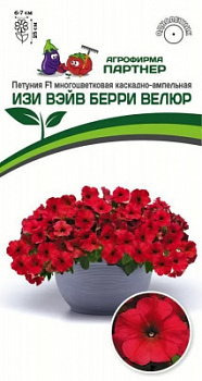 Петуния изи вэйв берри велюр
