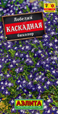 Лобелия каскадная биколор