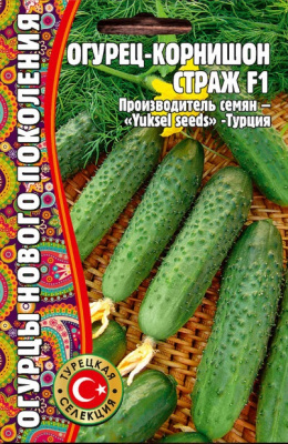 Страж