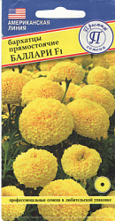 barhatzy_balari