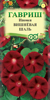 Ипомея пурпурная Вишневая шаль