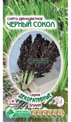 Сорго Черный Сокол