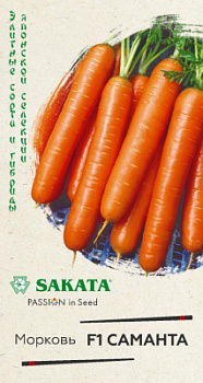 samanta_mini4