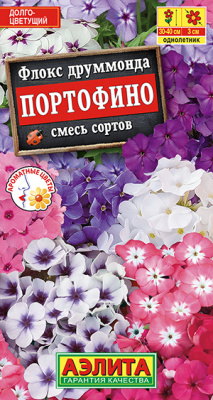 Флокс Портофино, смесь сортов_ЦП