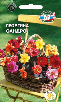 Гергина Сандро