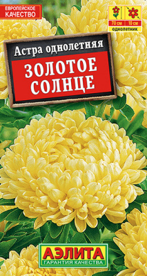 Астра Золотое солнце пионовидная_ЦП