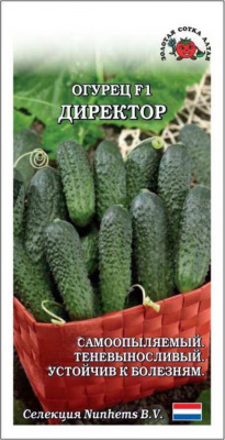 Директор