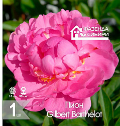 сПион Gilbert Barthelot