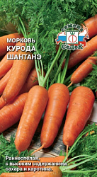 morkov_kuroda_shantane