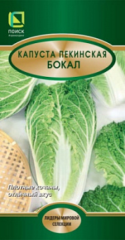 kapusta_pekin_bokal