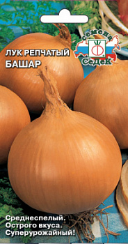 luk_bashar_1