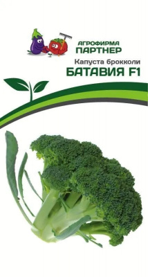 Капуста Батавия