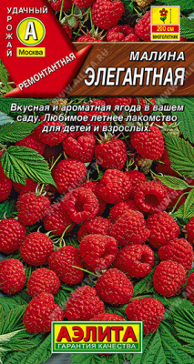 Малина Элегантная