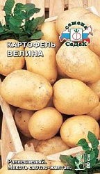 Картофель Велина