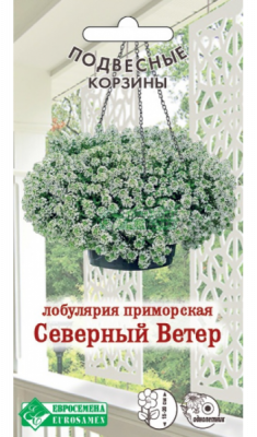 Лобулярия Северный Ветер
