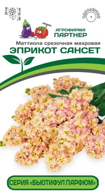 Маттиола Эприкот Сансет
