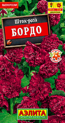 Мальва Шток-роза Бордо