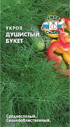 ukrop_dushistyy_buket