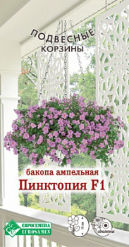 Бакопа ампельная Пинктопия
