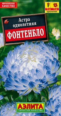 Астра Фонтенбло пионовидная_ЦП