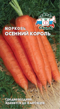 morkov_osenniy_korol
