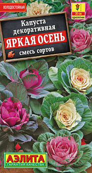 Капуста декоративная Яркая осень, смесь сортов_ЦП
