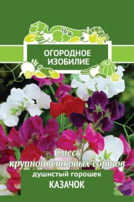 Душистый горошек Казачок