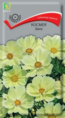 kosmeya_zlata